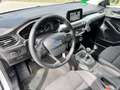 Ford Focus 1,0 EcoBoost Trend Edition Weiß - thumbnail 10