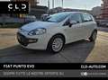 Fiat Punto Evo 1.3 Mjt 75 CV DPF 5 porte S&S Bianco - thumbnail 1