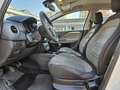 Fiat Punto Evo 1.3 Mjt 75 CV DPF 5 porte S&S Bianco - thumbnail 4
