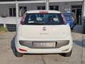 Fiat Punto Evo 1.3 Mjt 75 CV DPF 5 porte S&S Bianco - thumbnail 2