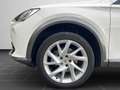 CUPRA Formentor 1.5 TSI DSG Full Link, Winter-Paket, e Weiß - thumbnail 8