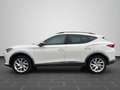 CUPRA Formentor 1.5 TSI DSG Full Link, Winter-Paket, e Weiß - thumbnail 7