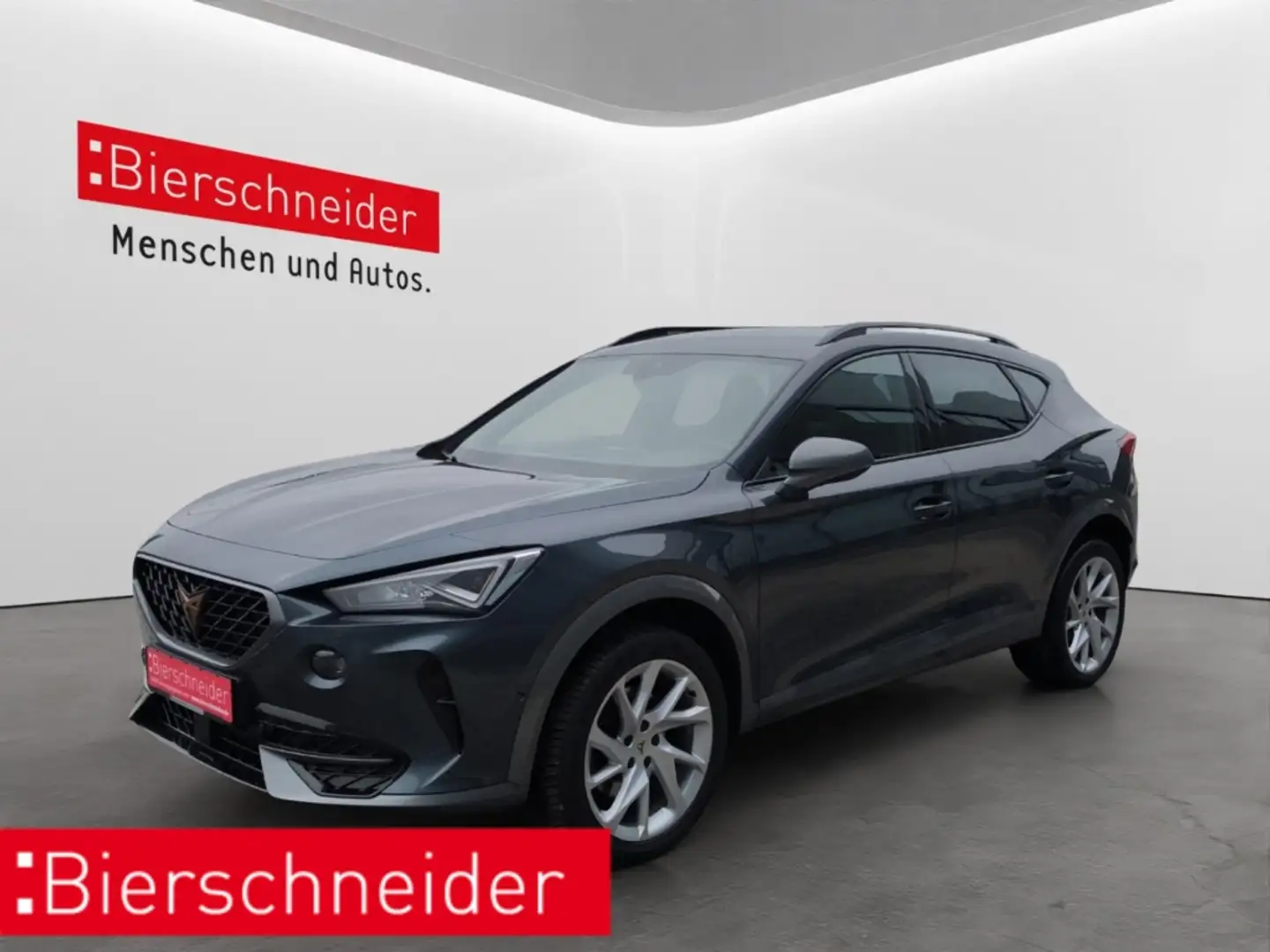 CUPRA Formentor 2.0 TDI DSG 4Drive LED NAVI ACC KAMERA PARKLENK 5- Grau - 1