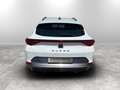 CUPRA Formentor 1.5 tsi dsg Bianco - thumbnail 15