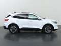 Ford Kuga 2.5 PHEV Titanium X | Panoramadak | Winterpakket | Wit - thumbnail 6