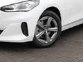 BMW 218 i Active Tourer Steptronic DCT Komfortzugang Weiß - thumbnail 6