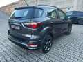 Ford EcoSport EcoSport 1.0 ecoboost ST-Line s Grigio - thumbnail 9