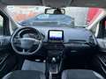 Ford EcoSport EcoSport 1.0 ecoboost ST-Line s Grigio - thumbnail 12