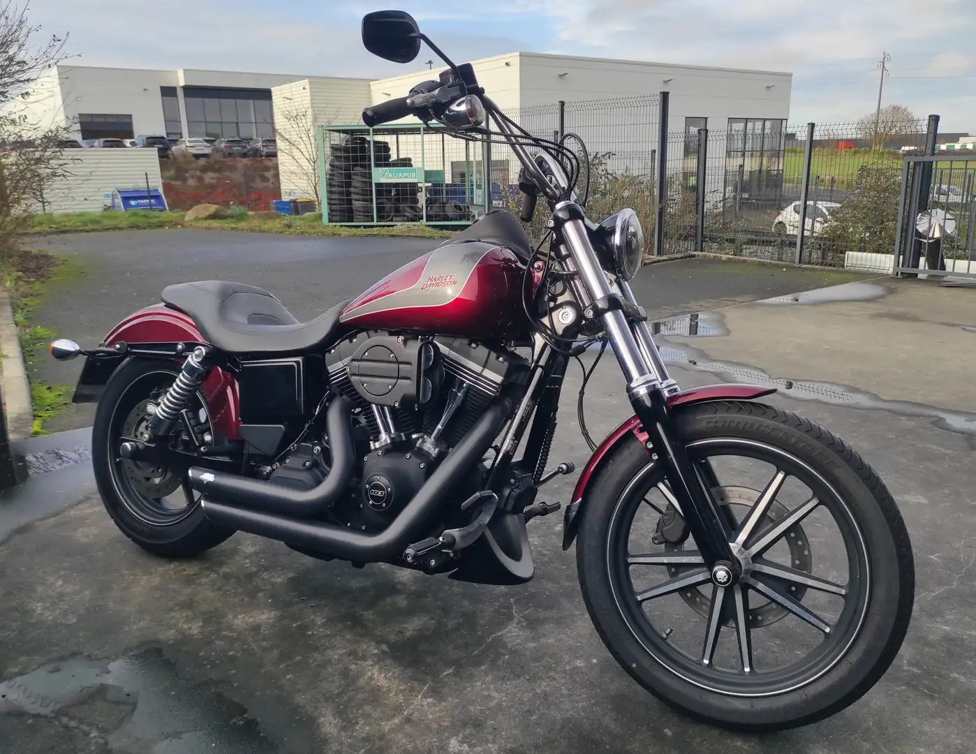 Harley-Davidson Dyna Street Bob Roşu - 1