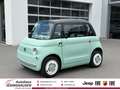 Fiat +LED+Pano+Heizung Зелений - thumbnail 1