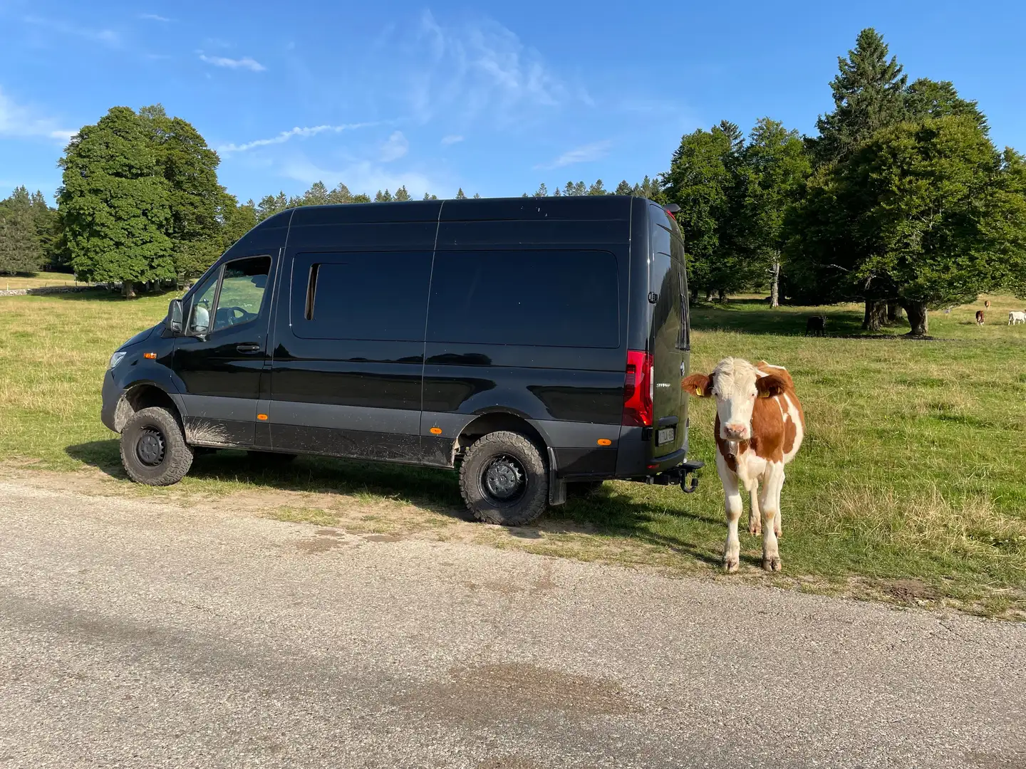 Mercedes-Benz Sprinter 419 CDI Sprinter 4x4 Kompakt HA 7G-TRONIC Plus - 1