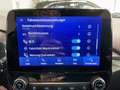 Ford Puma ST-Line+Navi+KeyFree+Kamera+Sitzheizung Argent - thumbnail 19