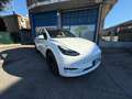 Tesla Model Y Model Y 2023 Long Range Dual Motor awd Bianco - thumbnail 1