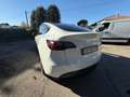 Tesla Model Y Model Y 2023 Long Range Dual Motor awd Bianco - thumbnail 3
