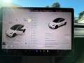 Tesla Model Y Model Y 2023 Long Range Dual Motor awd Bianco - thumbnail 7