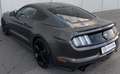 Ford Mustang Mustang Grau - thumbnail 8