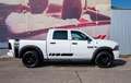 Dodge RAM 1500 SLT 5,7l Crew Cab,LPG Blanco - thumbnail 5
