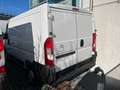 Citroen Jumper 28 BlueHDi 120 S&S PC-TN Furgone Wit - thumbnail 12