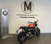 Triumph Speed Twin 1200 Arancione - thumbnail 2