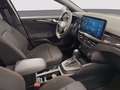 Ford Focus SW 1.0t ecoboost h ST-Line 155cv powershift Grau - thumbnail 8