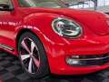 Volkswagen Beetle Lim. Sport*LEDER*BI-XENON*MFL*18 ZOLL* Roşu - thumbnail 6