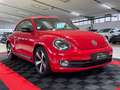 Volkswagen Beetle Lim. Sport*LEDER*BI-XENON*MFL*18 ZOLL* Roşu - thumbnail 5
