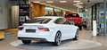 Audi A7 3.0 TDI quattro Competition Aut. *Scheibedach*Head Weiß - thumbnail 7