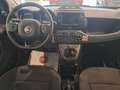 Fiat Panda 1.0 FireFly S&S Hybrid Bianco - thumbnail 8