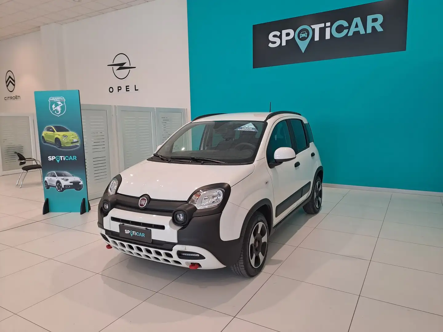 Fiat Panda 1.0 FireFly S&S Hybrid Bianco - 1