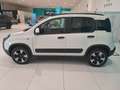 Fiat Panda 1.0 FireFly S&S Hybrid Bianco - thumbnail 19
