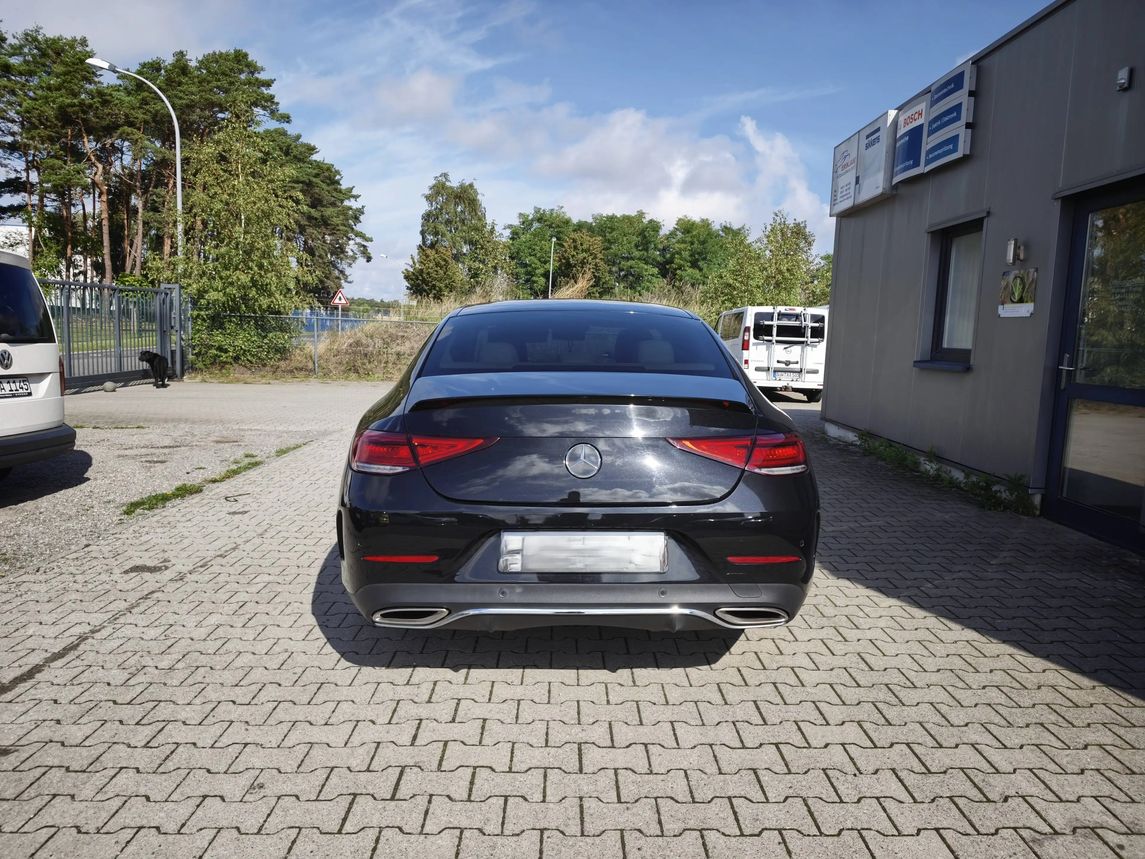 Mercedes-Benz CLS 450 CLS 450 4Matic (257.359) — photo 5