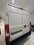 Fiat Ducato MAXI SERIE 9 FURGONE LASTRATO 35Q MH2 140cv 2.2 Mu Bianco - thumbnail 6