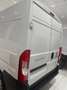 Fiat Ducato MAXI SERIE 9 FURGONE LASTRATO 35Q MH2 140cv 2.2 Mu Bianco - thumbnail 5