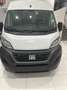 Fiat Ducato MAXI SERIE 9 FURGONE LASTRATO 35Q MH2 140cv 2.2 Mu Bianco - thumbnail 3