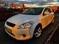 Kia ProCeed / pro_cee'd pro Ceed 1.6 CVVT EX - thumbnail 1