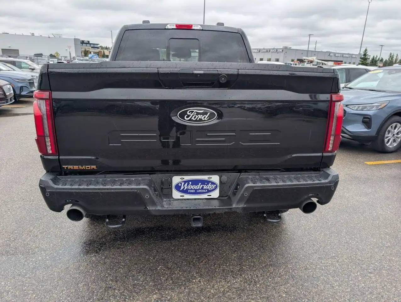 Ford F 150 снимка Ford F 150