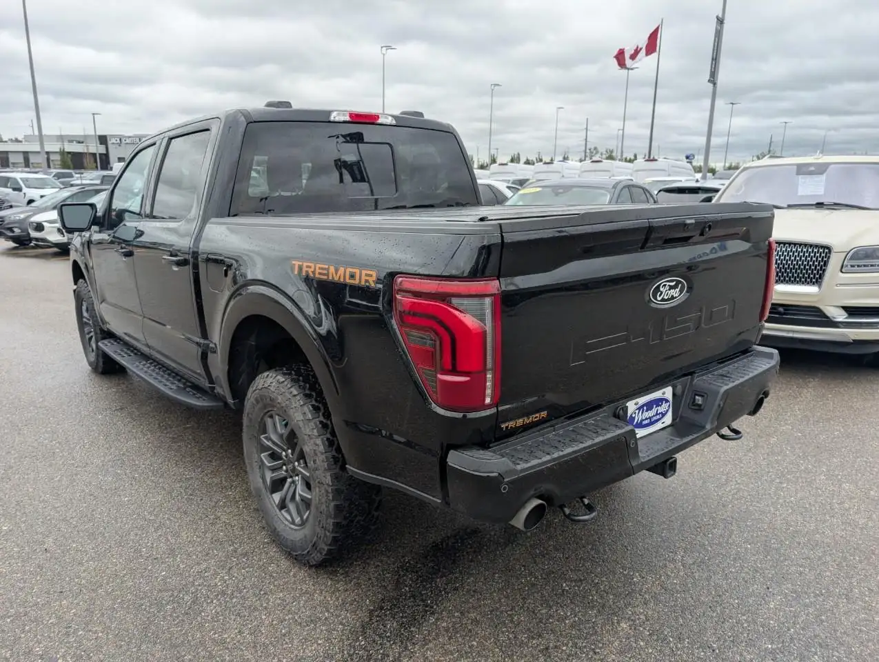 Ford F 150 снимка Ford F 150