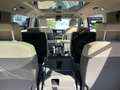 Volkswagen T7 Multivan TDI Edition Life Pano HuD Stdhzg TOP Schwarz - thumbnail 13