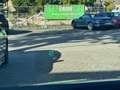 Toyota Prius 1.8 Dynamic Bj:2010 Camera|HUD|Cruise Control|Nap Bleu - thumbnail 12
