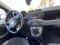 Fiat New Panda FIAT Panda 1.2 Lounge 51 kW (69 CV) - thumbnail 14