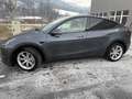 Tesla Model Y Model Y Long Range AWD 75kWh Grau - thumbnail 1