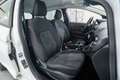 Ford Fiesta 1.0 EcoBoost S/S Trend 100 Blanco - thumbnail 15