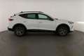 CUPRA Formentor 2.0 TDI DSG, AHK, Area, Navi, 5-J Garantie Wit - thumbnail 24