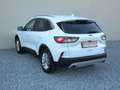 Ford Kuga 2.5 PHEV Titanium X B&O+Winter+AUT+Navi+RKam Weiß - thumbnail 9
