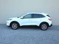 Ford Kuga 2.5 PHEV Titanium X B&O+Winter+AUT+Navi+RKam Weiß - thumbnail 10