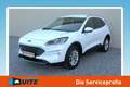 Ford Kuga 2.5 PHEV Titanium X B&O+Winter+AUT+Navi+RKam Weiß - thumbnail 1