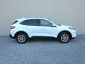 Ford Kuga 2.5 PHEV Titanium X B&O+Winter+AUT+Navi+RKam Weiß - thumbnail 6