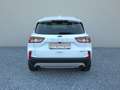Ford Kuga 2.5 PHEV Titanium X B&O+Winter+AUT+Navi+RKam Weiß - thumbnail 8