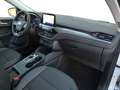 Ford Kuga 2.5 PHEV Titanium X B&O+Winter+AUT+Navi+RKam Weiß - thumbnail 24