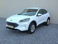 Ford Kuga 2.5 PHEV Titanium X B&O+Winter+AUT+Navi+RKam Weiß - thumbnail 3